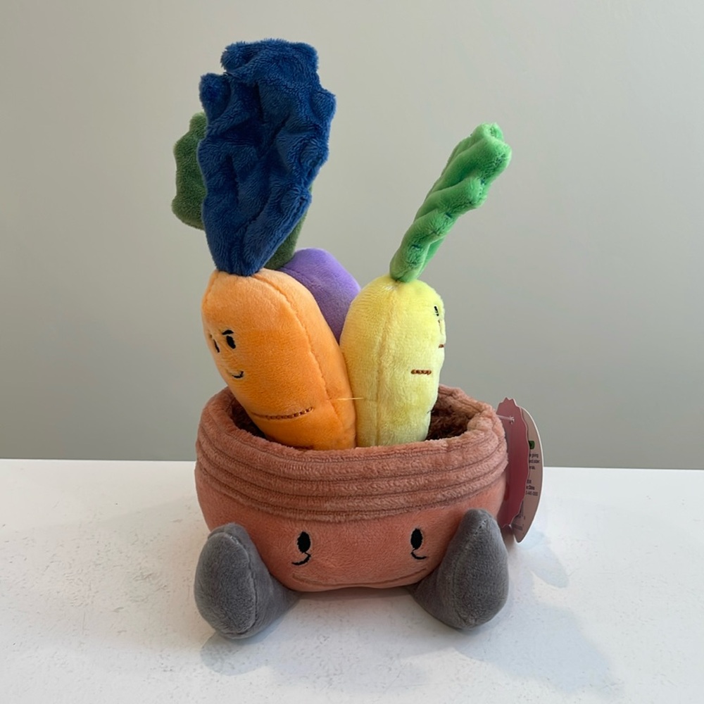 ⚡️New Rainbow Carrots Veggie Plush by Gigglescape